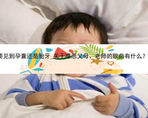 香港验血b超单要见到孕囊还是胎牙_关于感恩父母、老师的歌曲有什么？关于感
